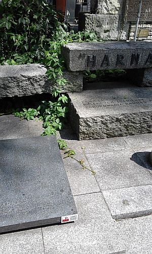 Foto16